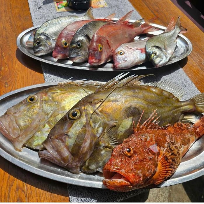 Svježa riba Ad Astra